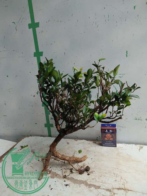 �½��ļ��� (3)IMG20170711125624.jpg