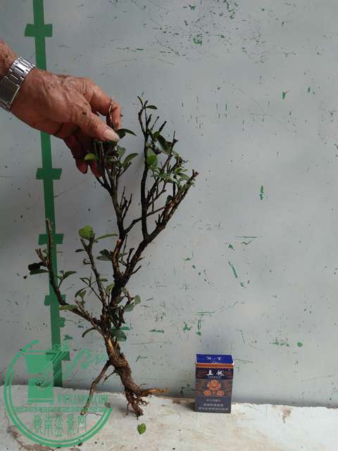 �½��ļ��� (3)IMG20170711125717.jpg