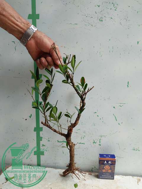 �½��ļ��� (3)IMG20170711125727.jpg