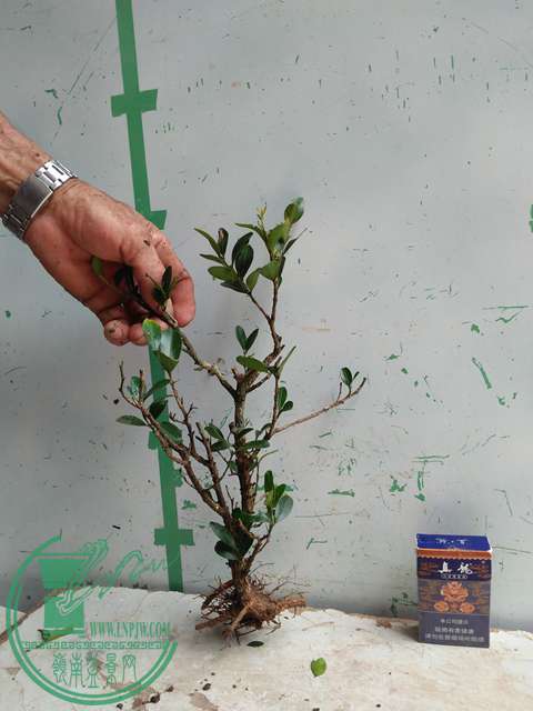 �½��ļ��� (3)IMG20170711125742.jpg