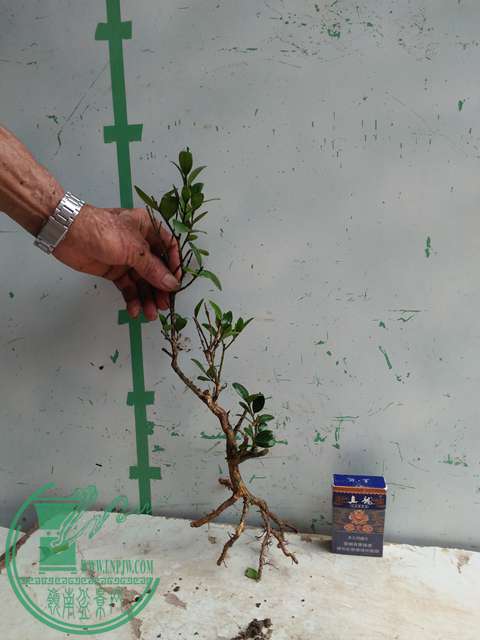 �½��ļ��� (3)IMG20170711125830.jpg