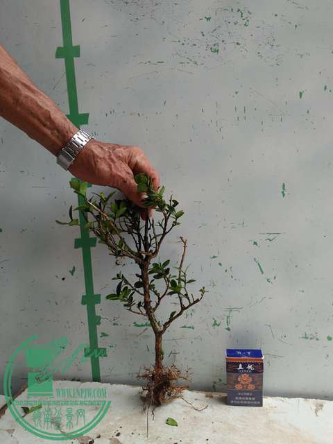 �½��ļ��� (3)IMG20170711125837.jpg