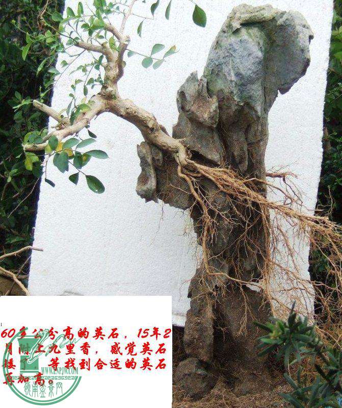 DSCF5917.JPG