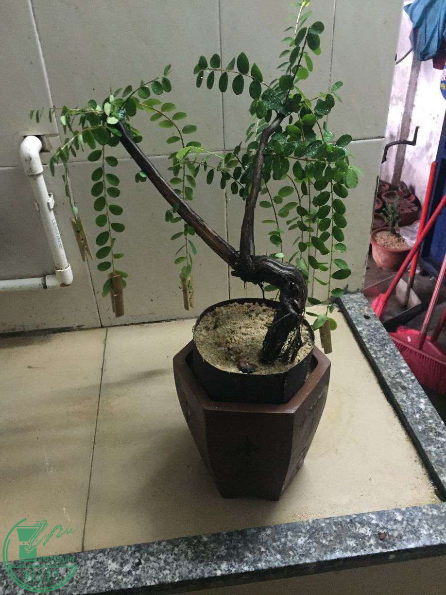 QQͼƬ20170721011052.jpg