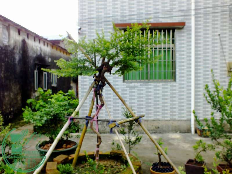 DSCF3287.JPG