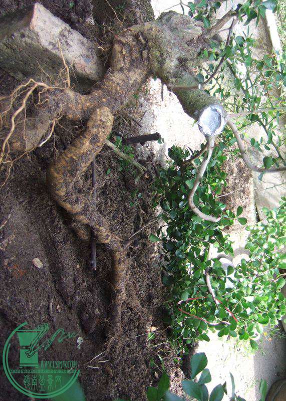DSCF7860.JPG