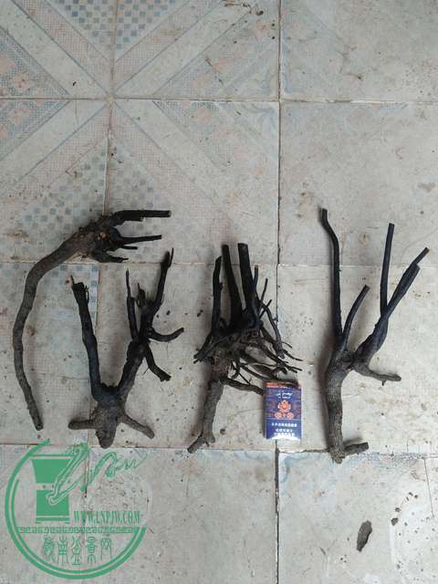 IMG20170802132406.jpg