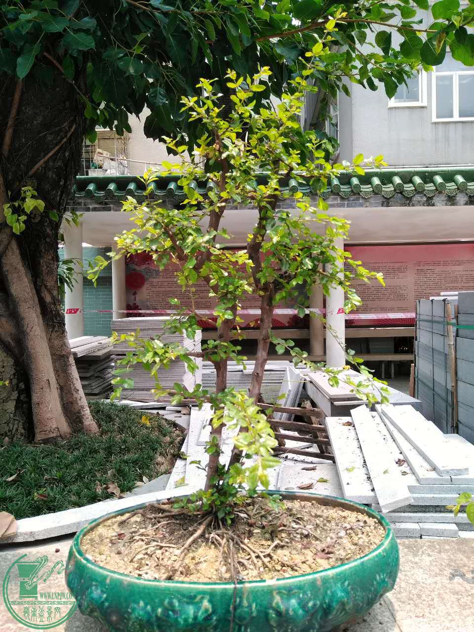 04.jpg