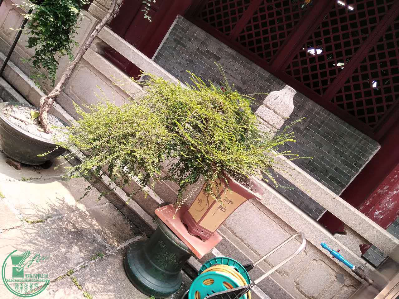 09.jpg