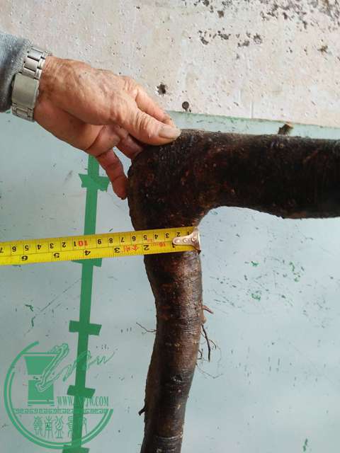 IMG20170807184000.jpg
