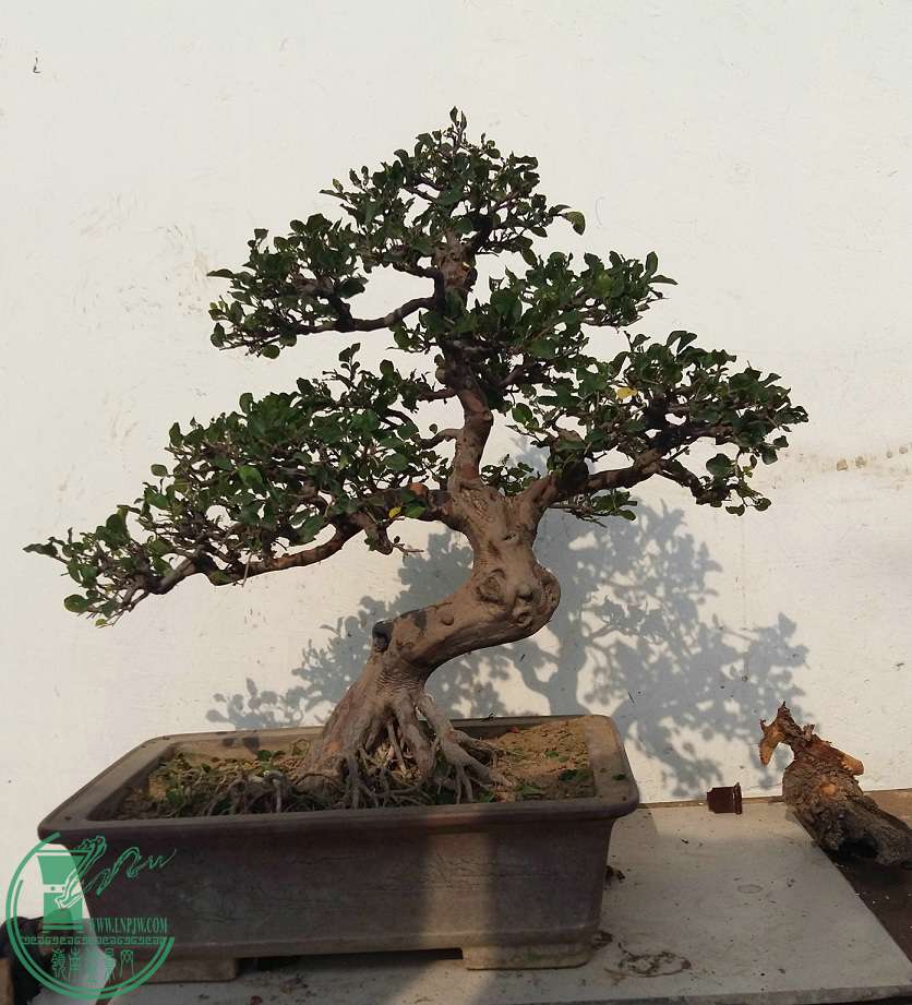 20170629_164915.jpg