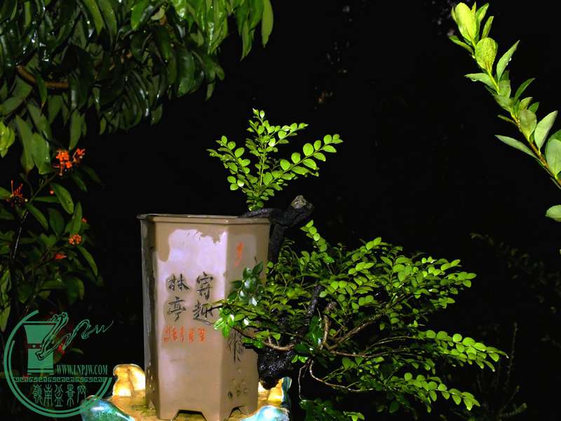 DSCF3298.JPG