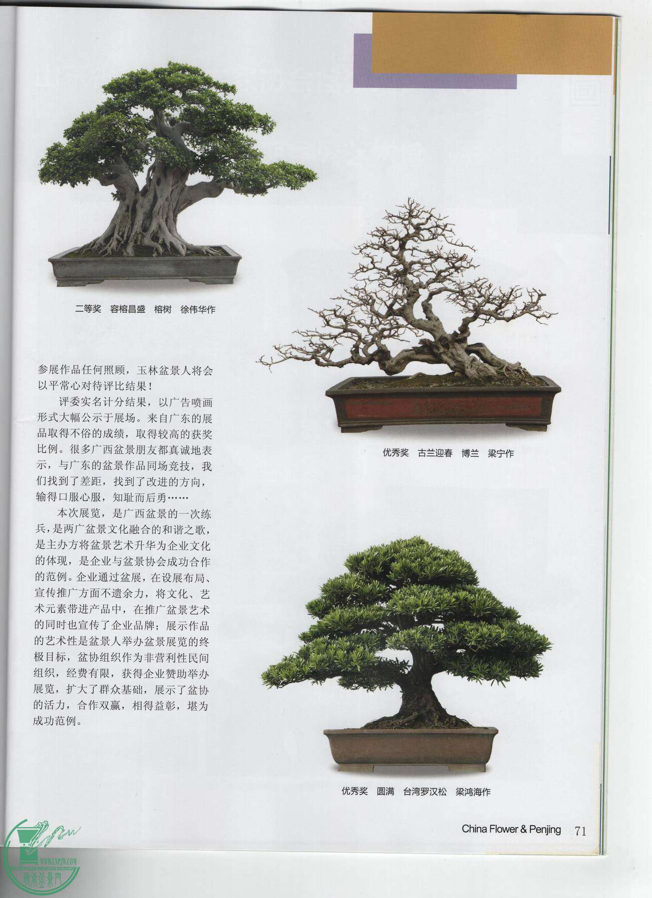 Ƭ 005.jpg