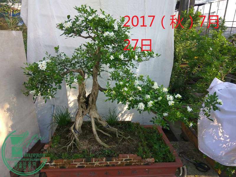 208006022478621944.jpg