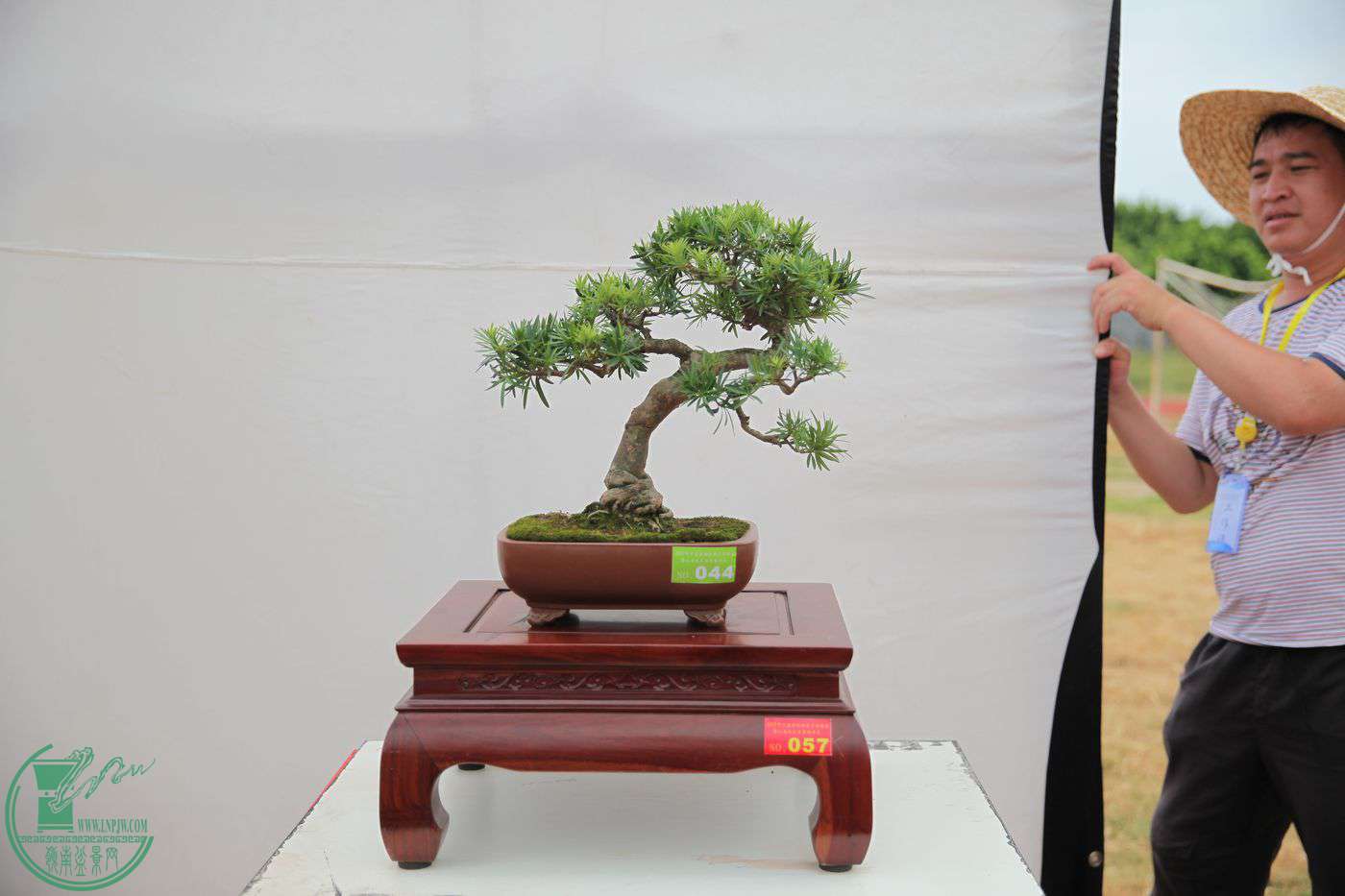 57IMG_0340.jpg