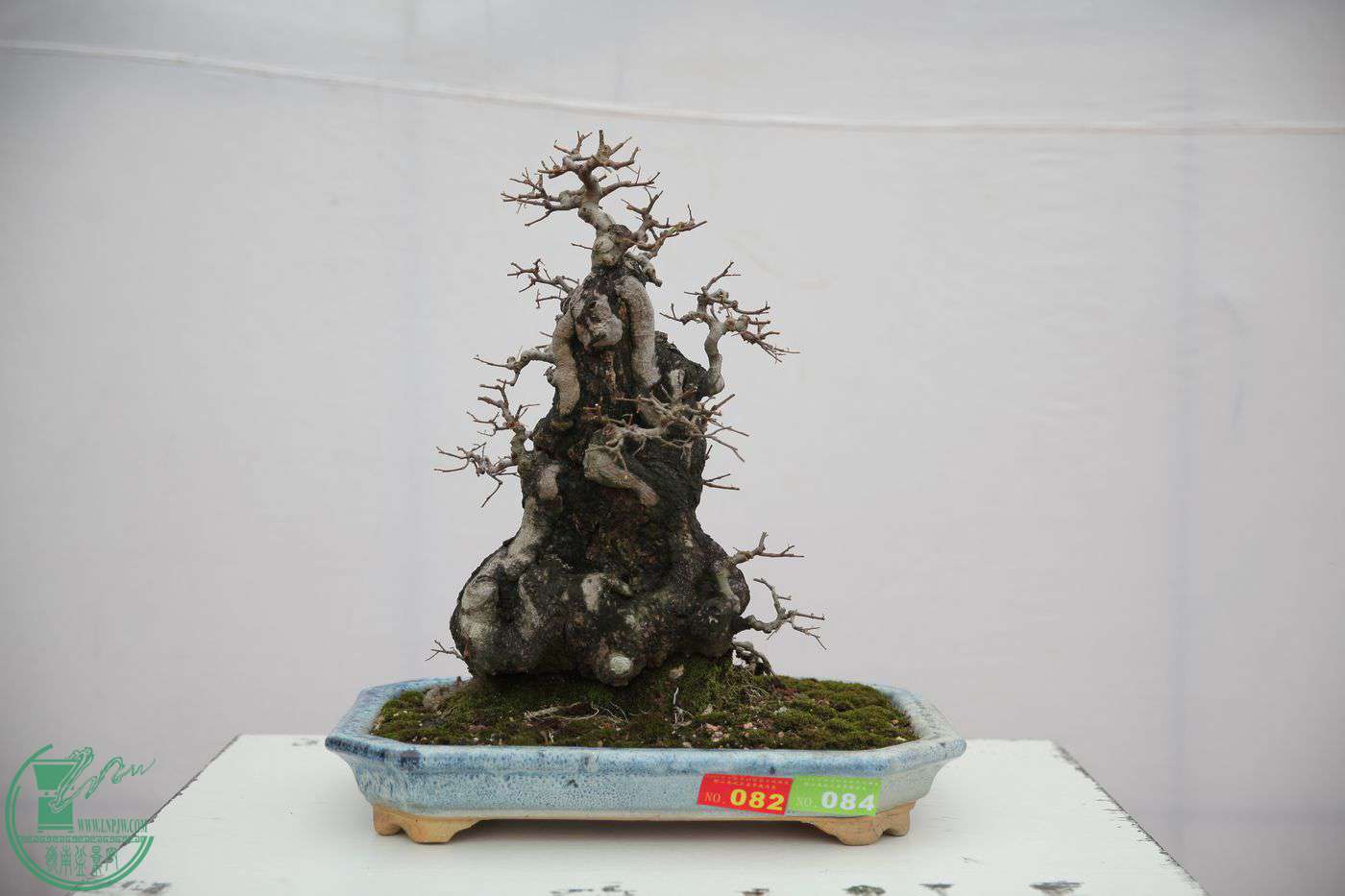 82IMG_0378.jpg