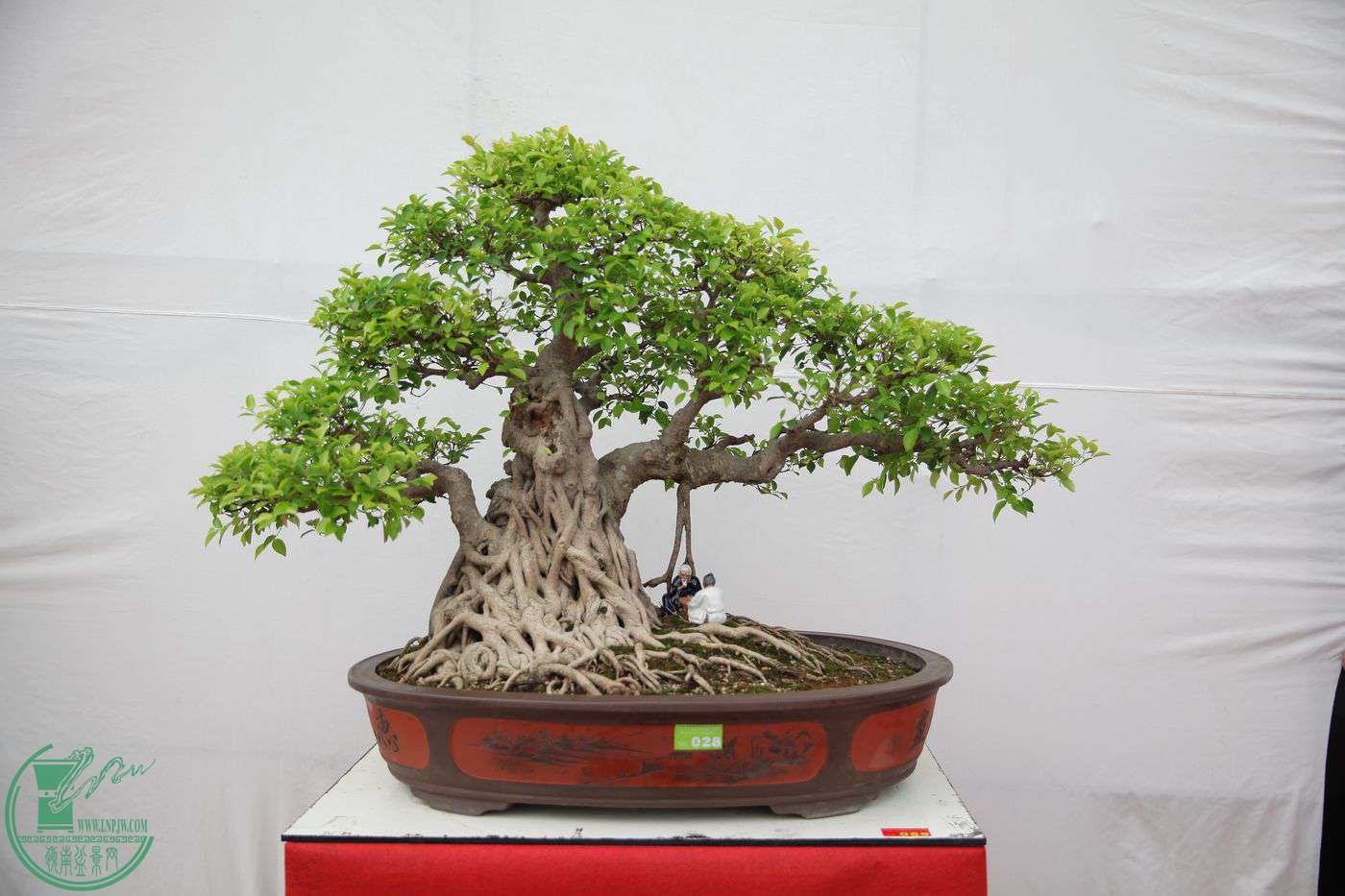 89IMG_0387.jpg