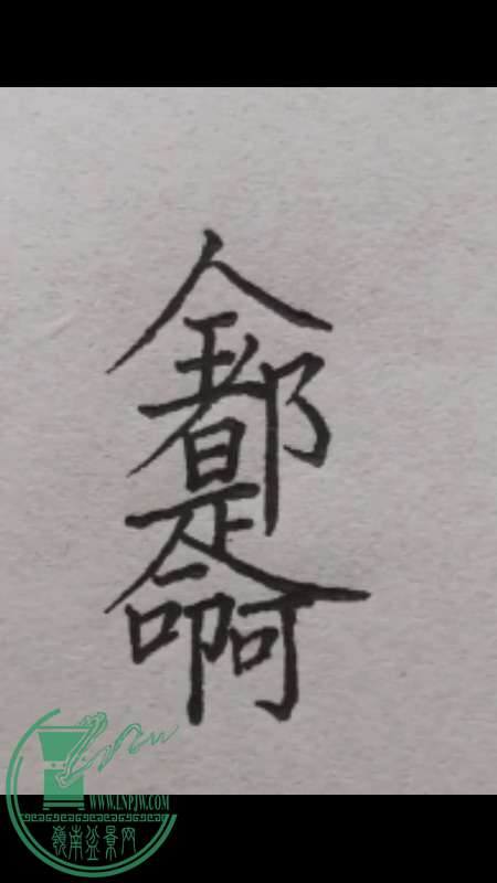 IMG_0810.PNG