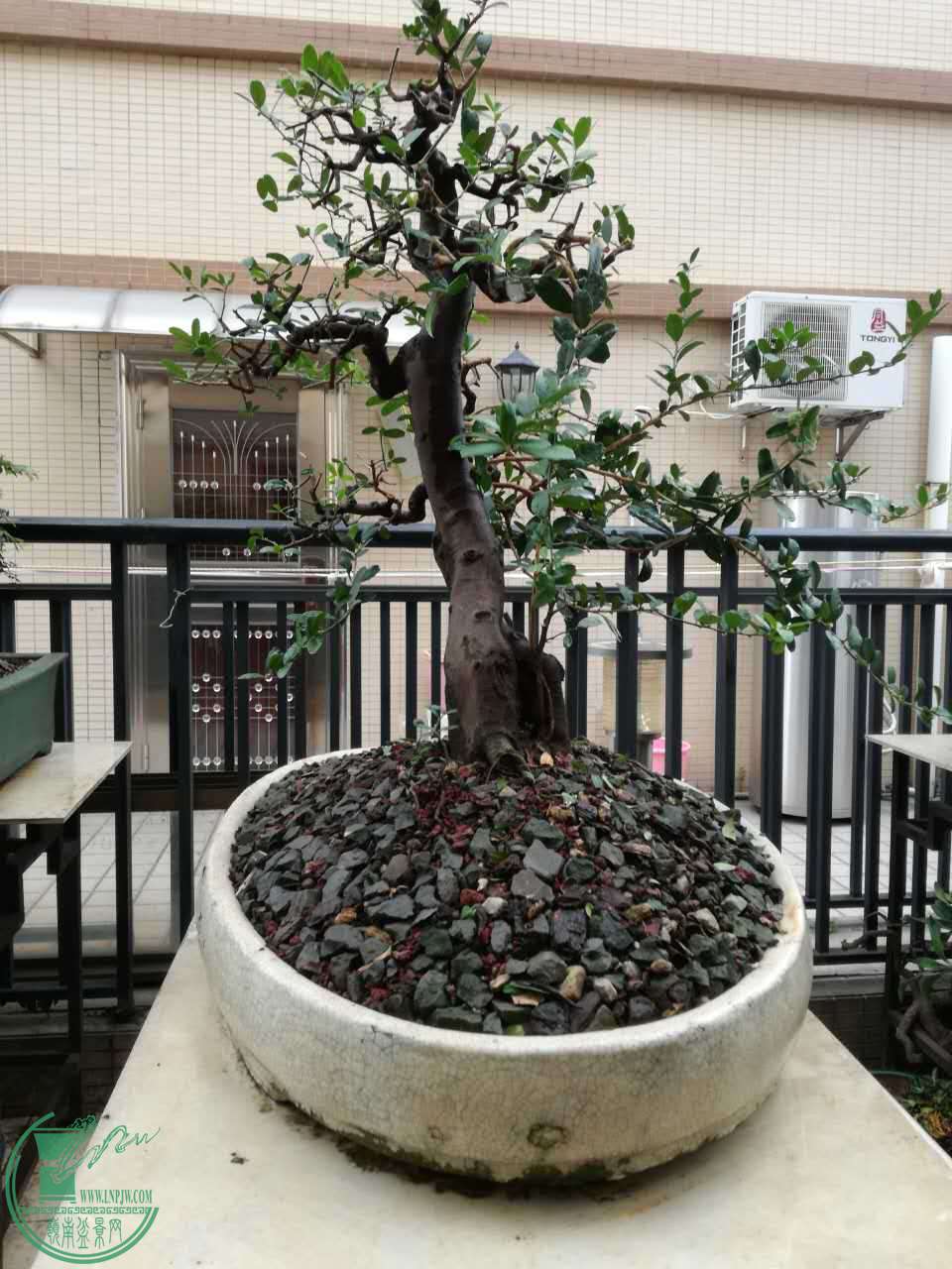 38918243553221143.jpg