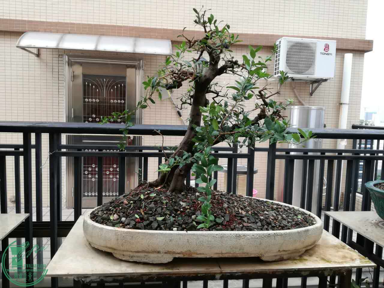87812695018441872.jpg