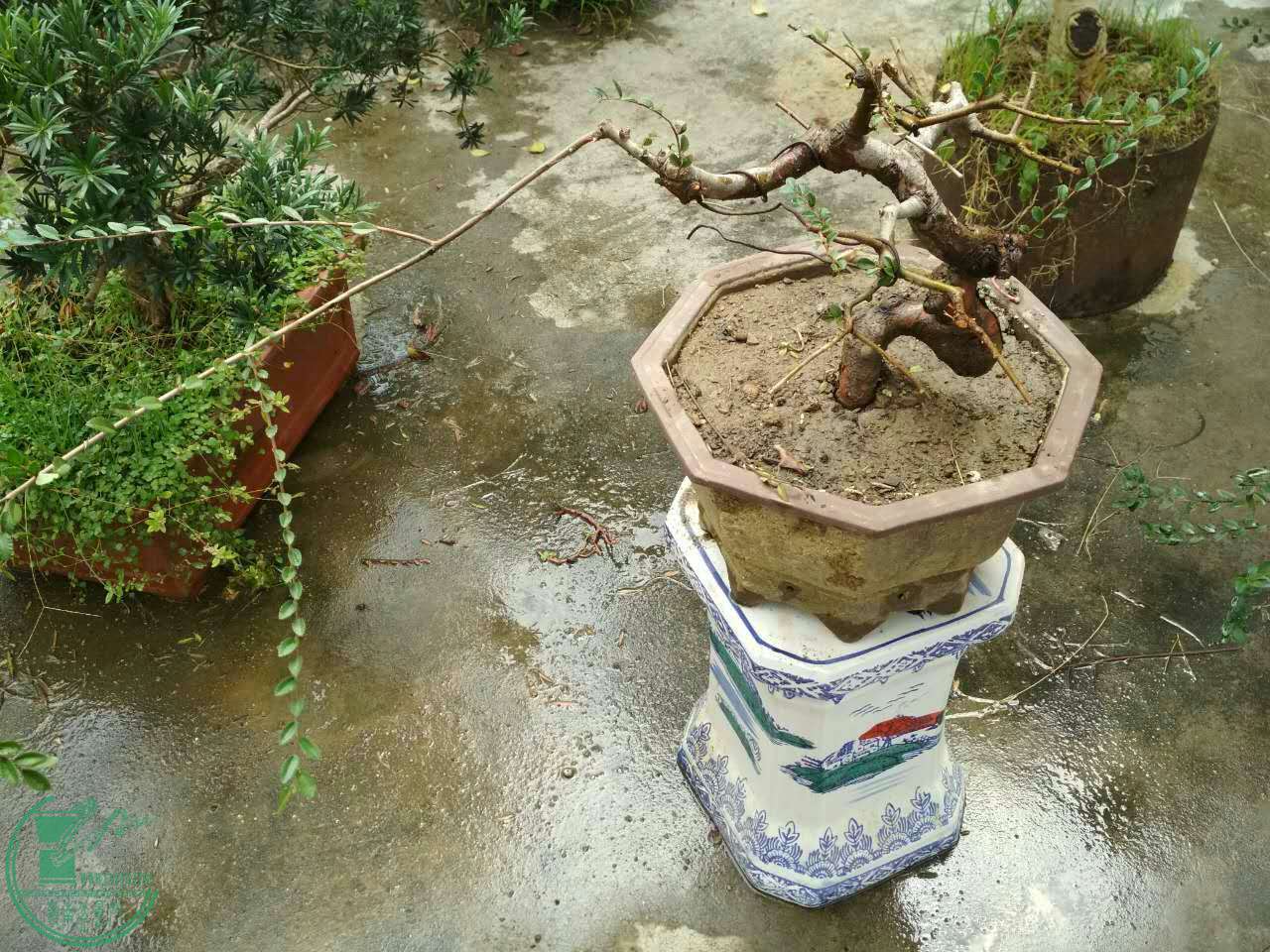 759191015897127932.jpg