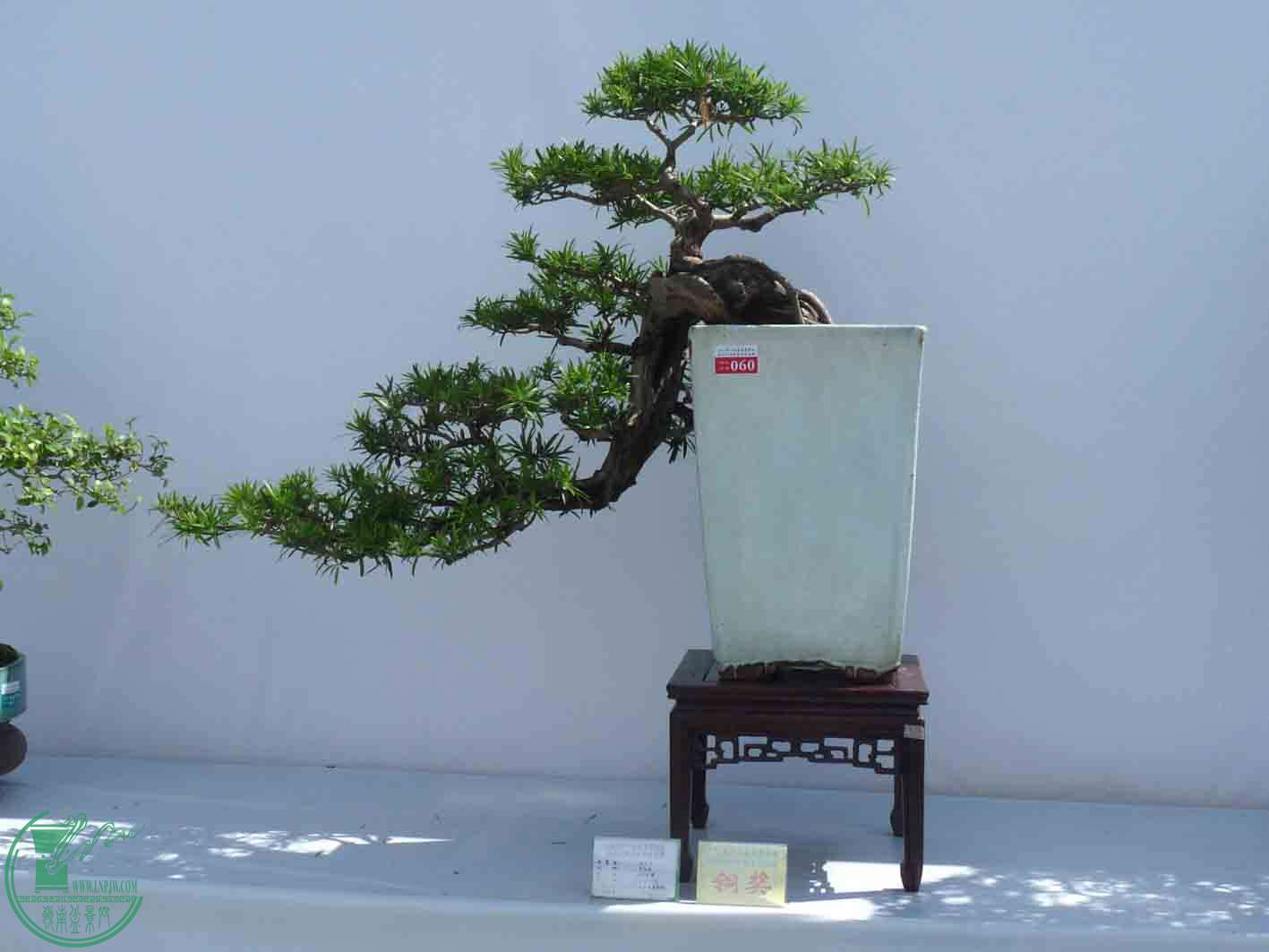 P1050233.JPG