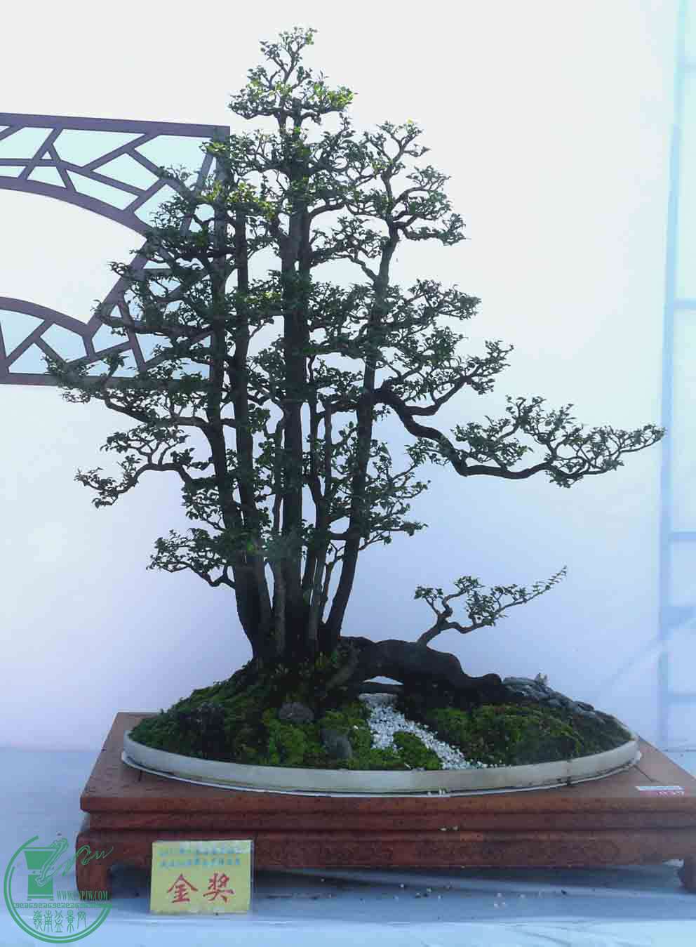 P1050239.JPG