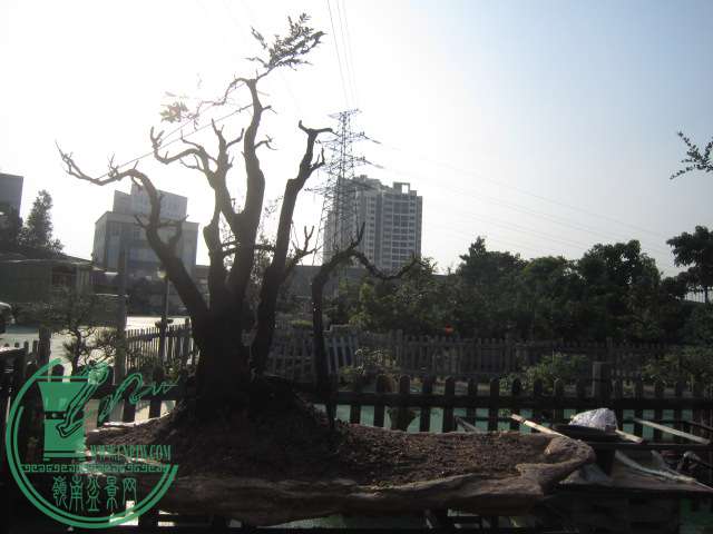 IMG_6863.JPG