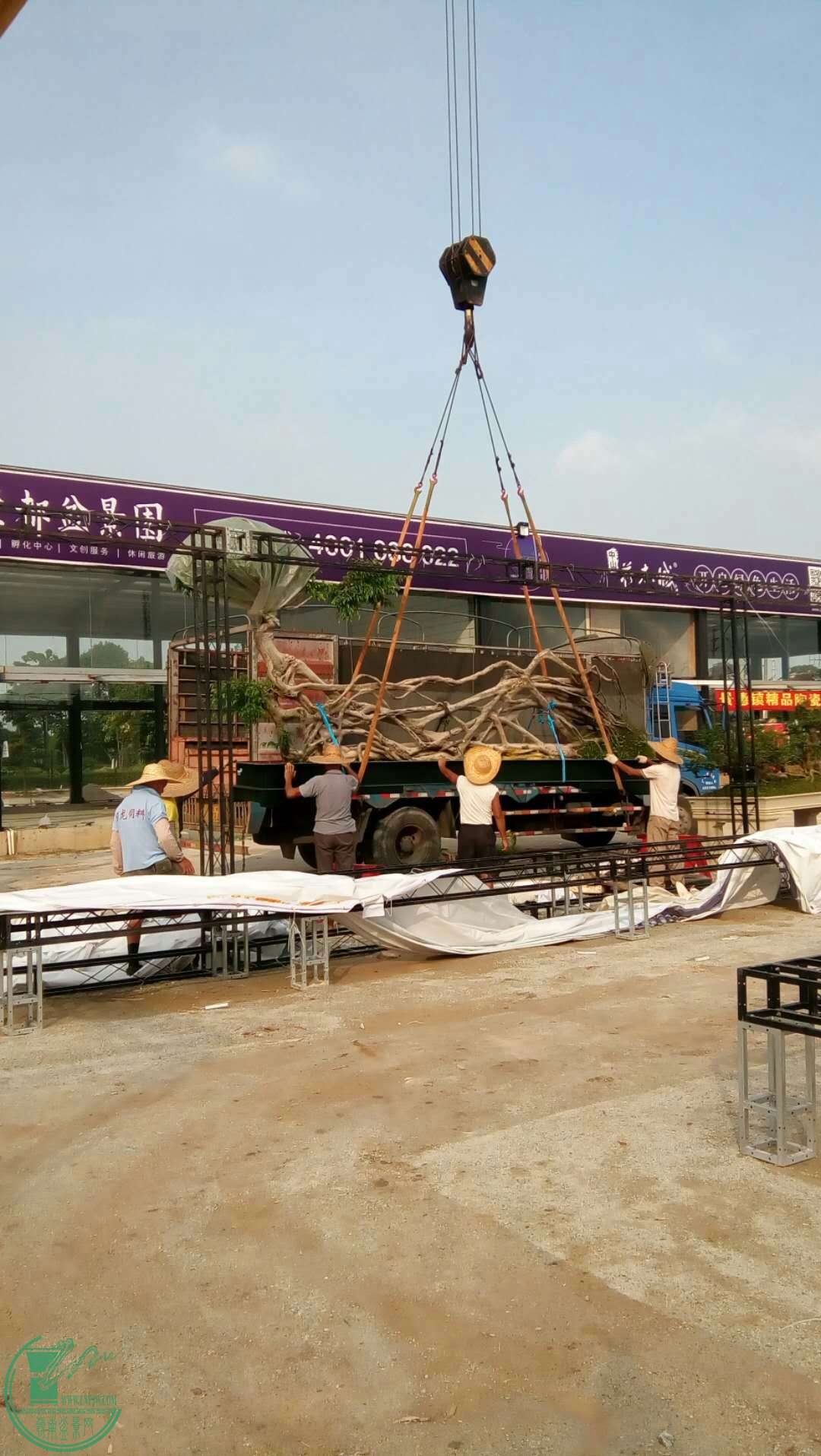 mmexport1507430624055.jpg