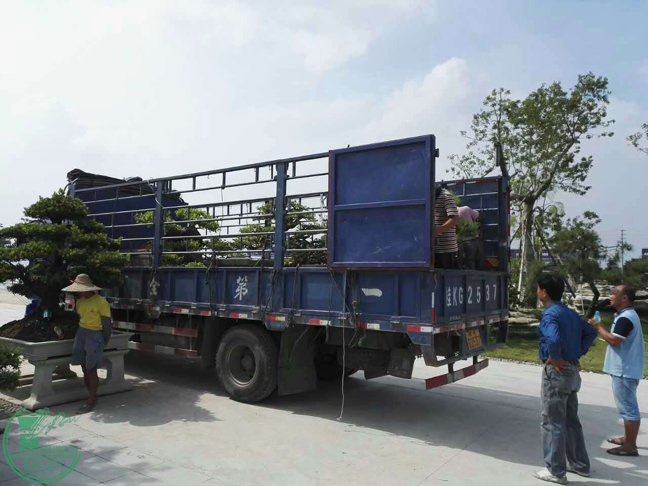 mmexport1507430496811.jpg