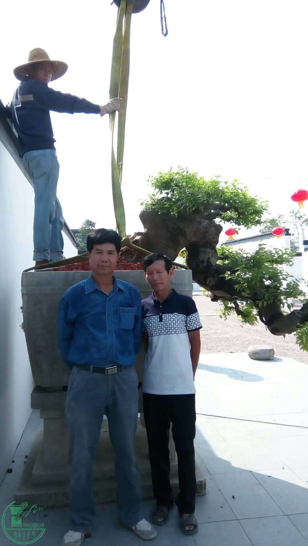 mmexport1507430524308.jpg