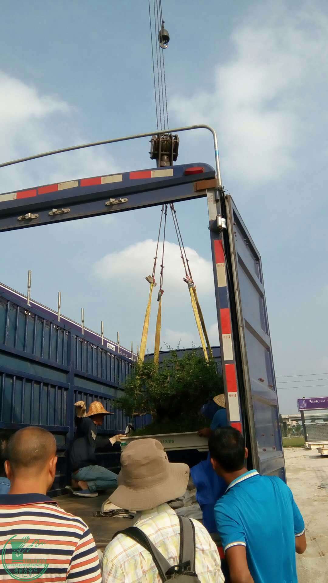 mmexport1507430576604.jpg