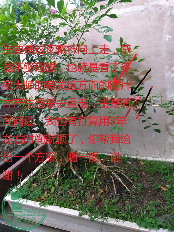 533110148646446471.jpg