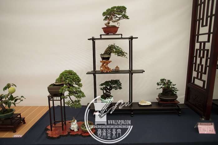 140629zpbo2hhocov0fzpz_jpg_thumb.jpg