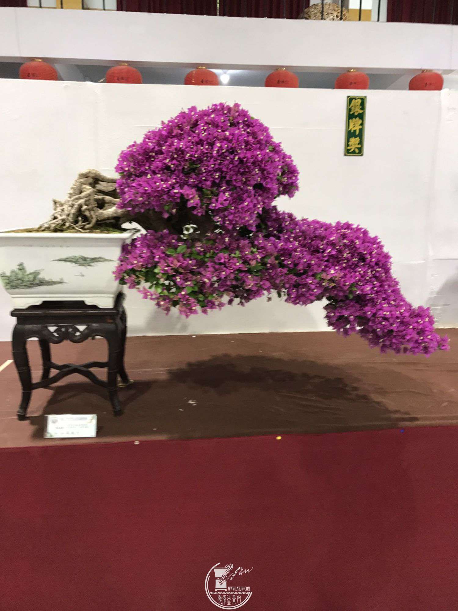 1064187819.jpg