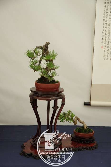 140750ypep73pw0j03w8vg_jpg_thumb.jpg