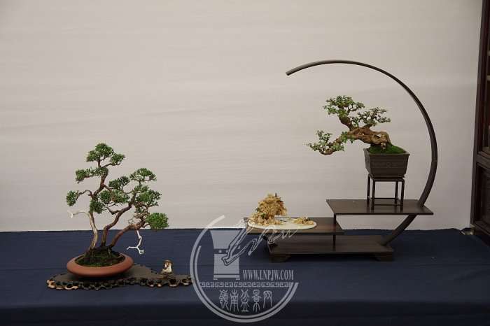 140854hk2nw8zdrr47rol2_jpg_thumb.jpg