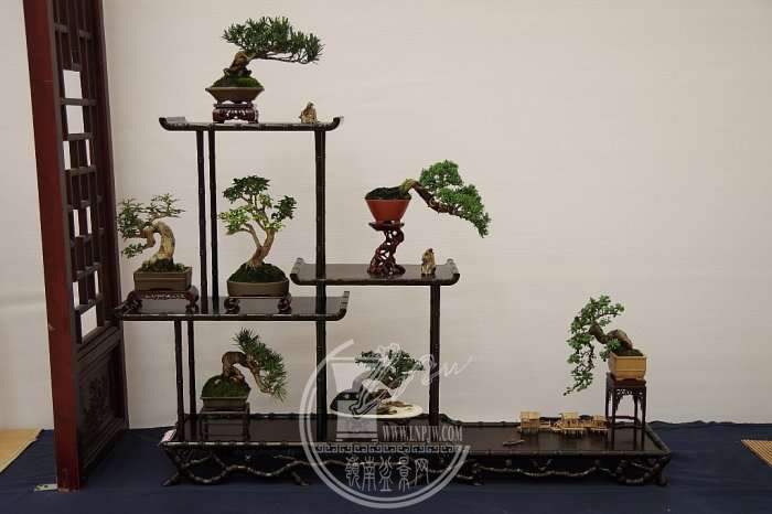 140855cni9huhnybyuzrie_jpg_thumb.jpg