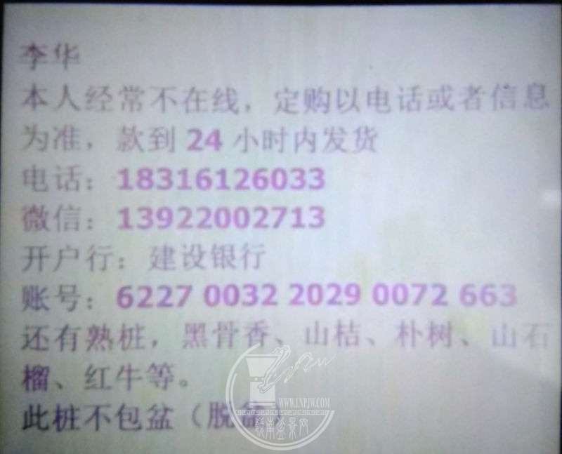 909652