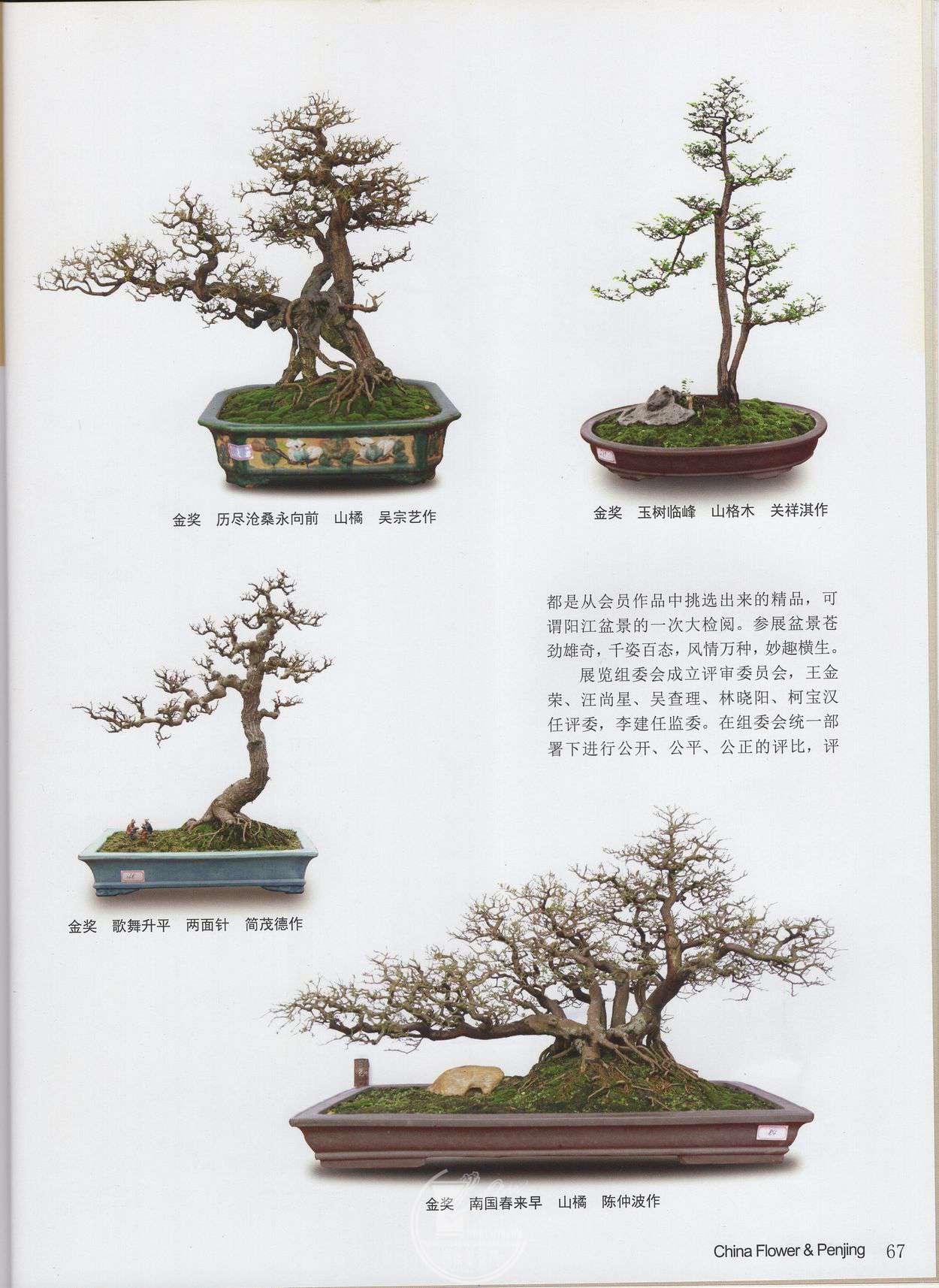 img022.jpg