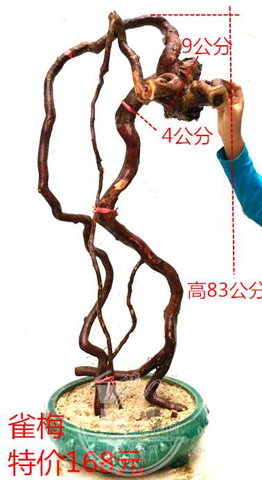 2_.jpg