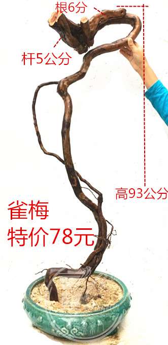 7_.jpg