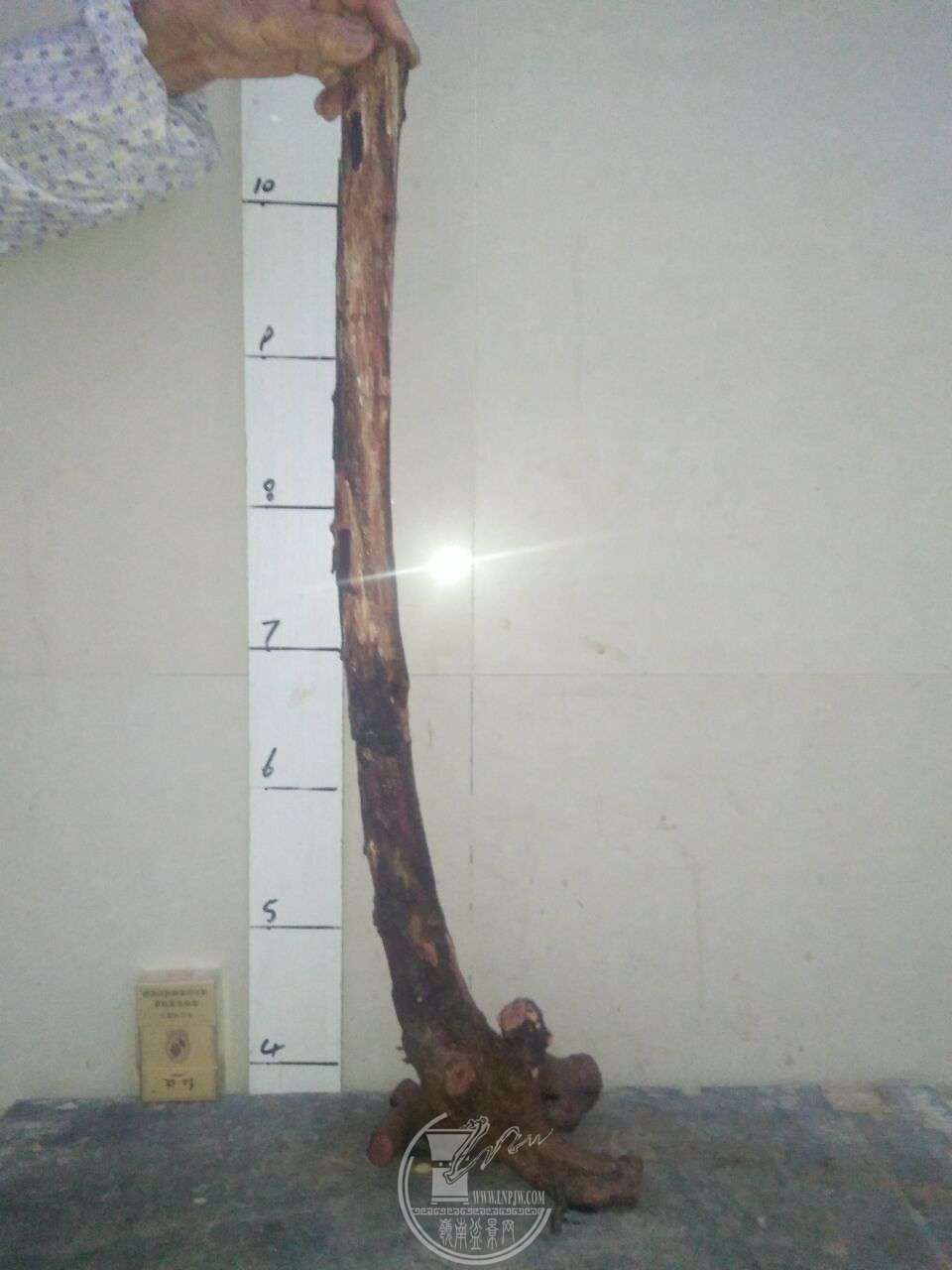 QQͼƬ20171108201615.jpg