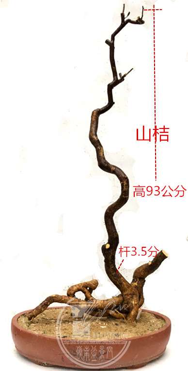 1_.jpg