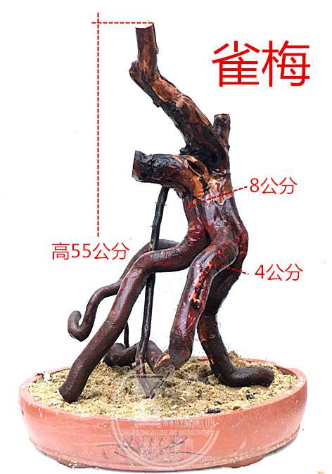 4_.jpg