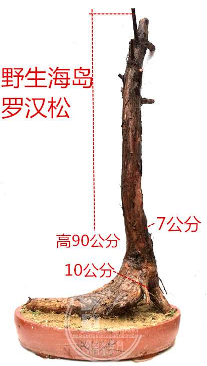 6_.jpg