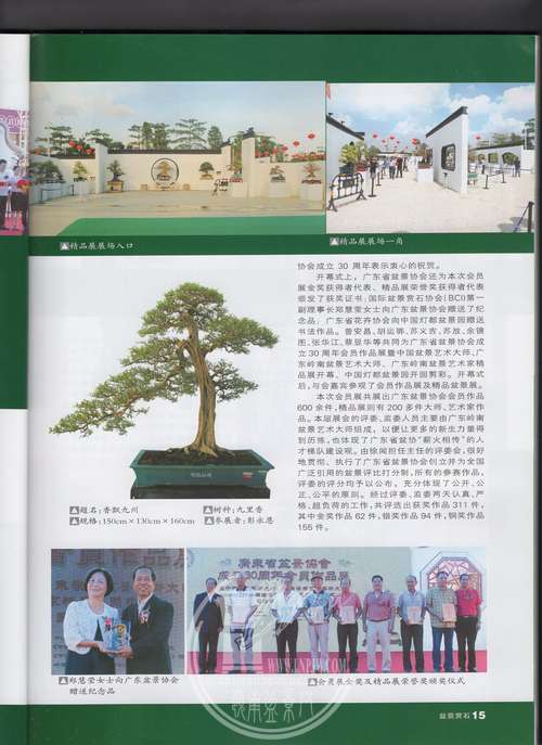 3img091.jpg