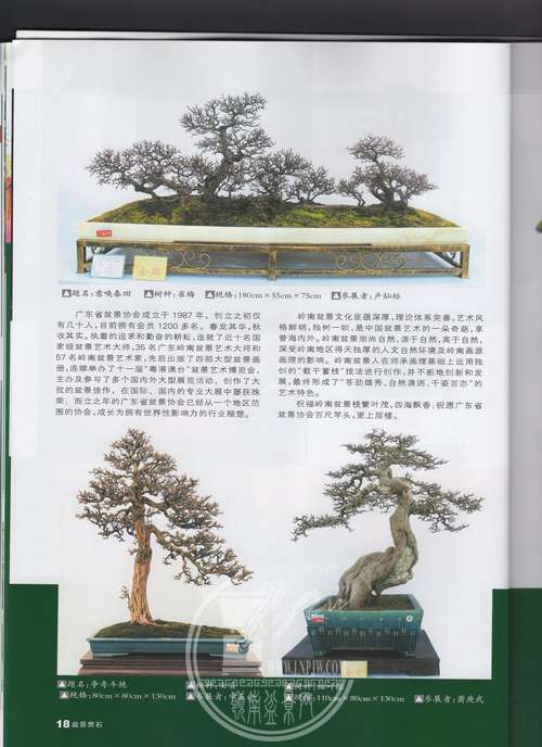 6img078.jpg