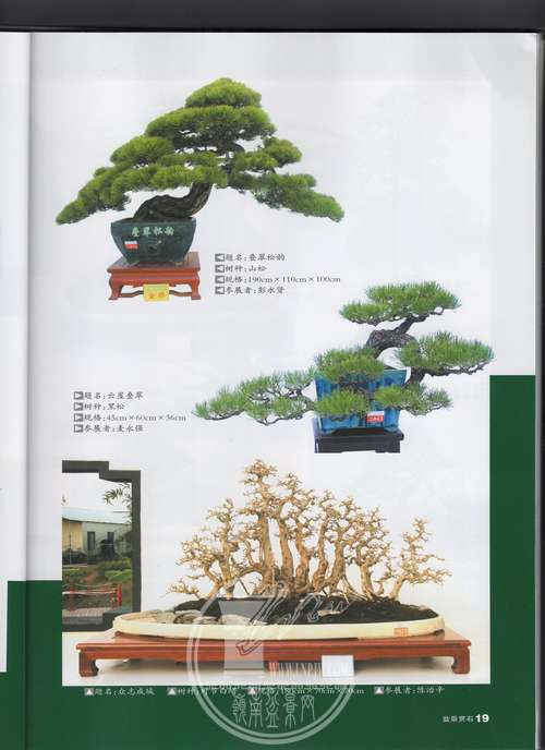 7img079.jpg