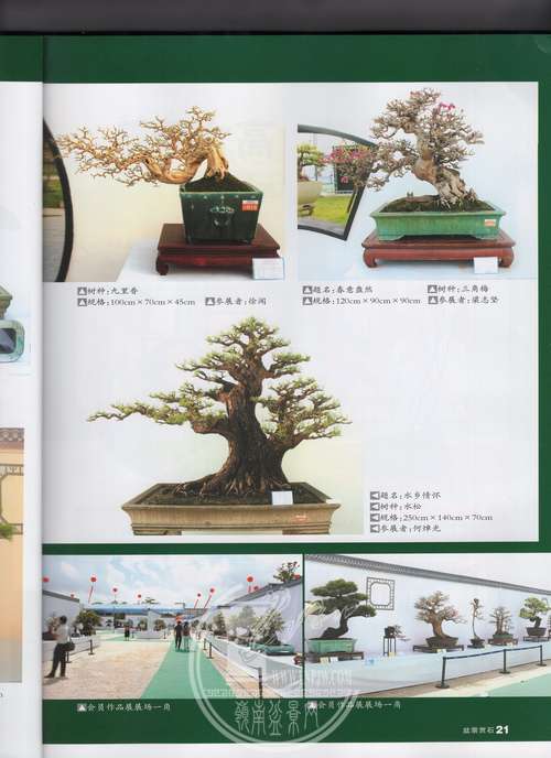 9img081.jpg